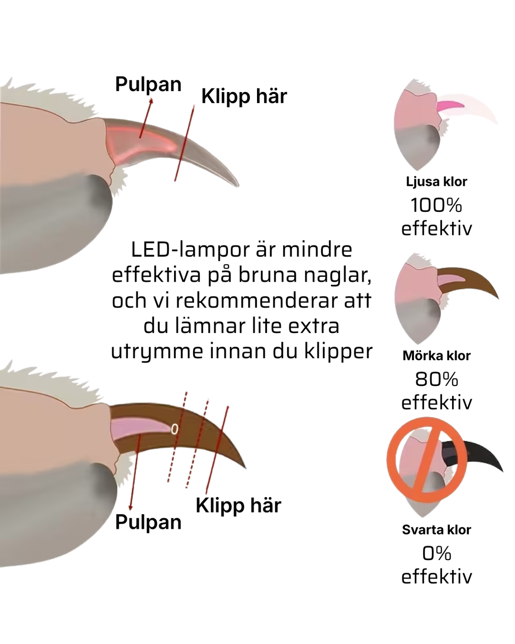 GlowClip™ – LED Klotång För Husdjur