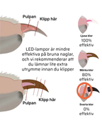 GlowClip™ – LED Klotång För Husdjur
